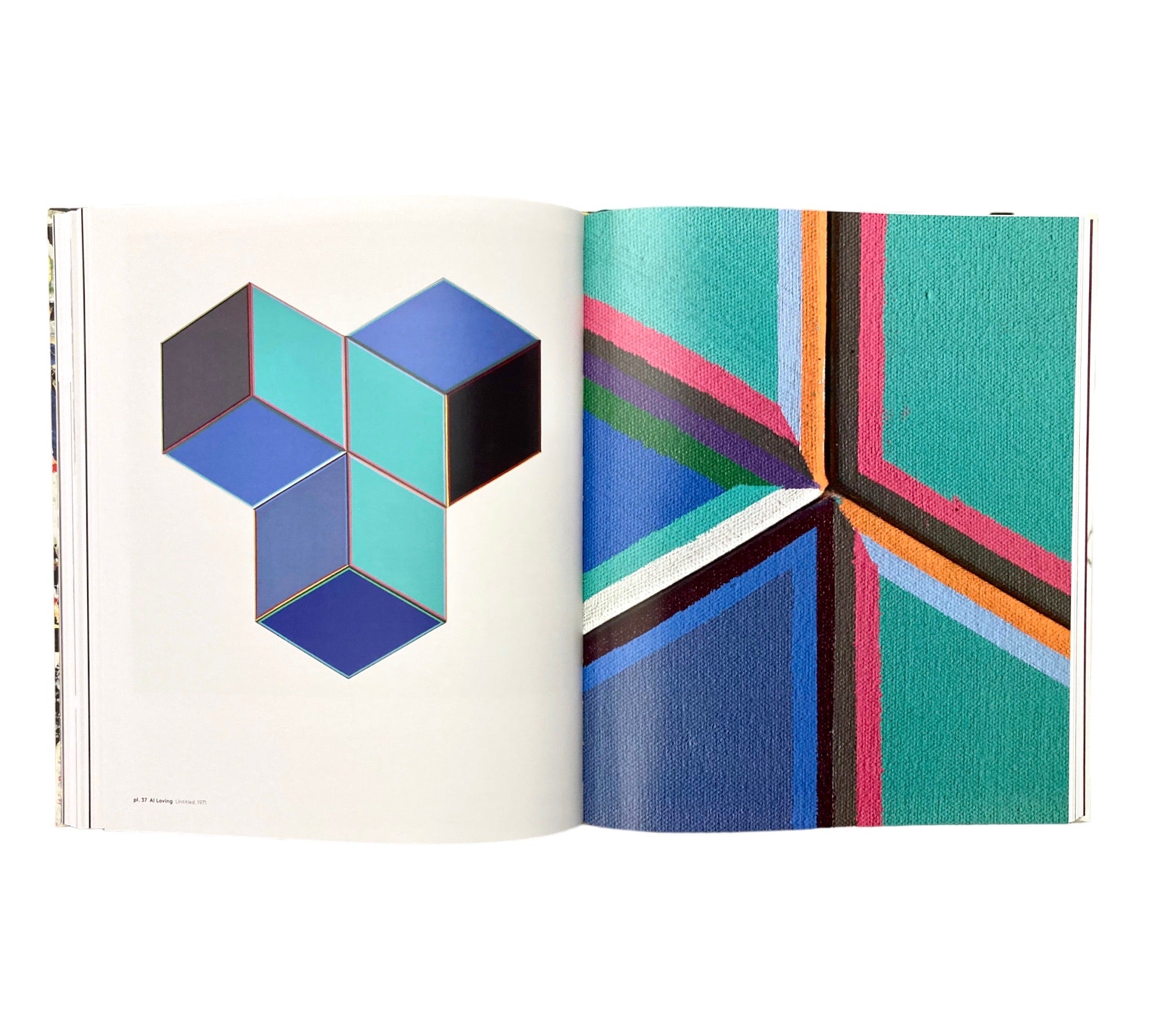 Delirious: Art at the Limits of Reason 1950-1980