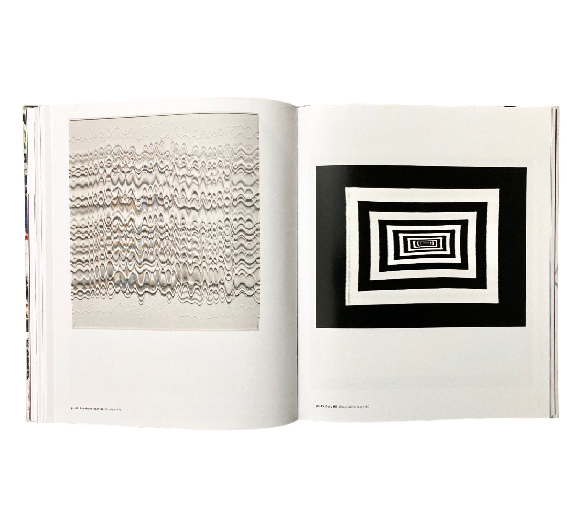 Delirious: Art at the Limits of Reason 1950-1980