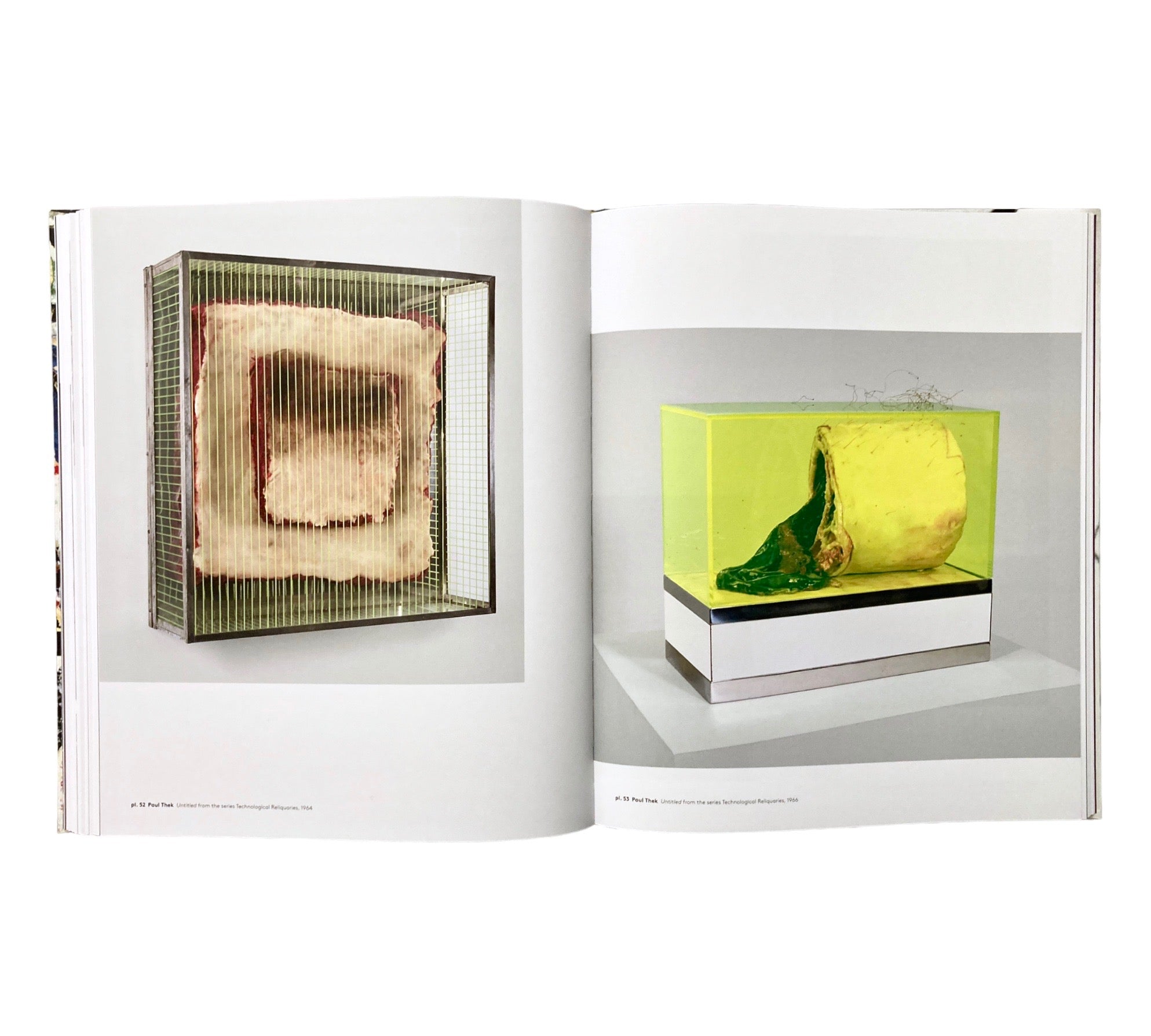 Delirious: Art at the Limits of Reason 1950-1980