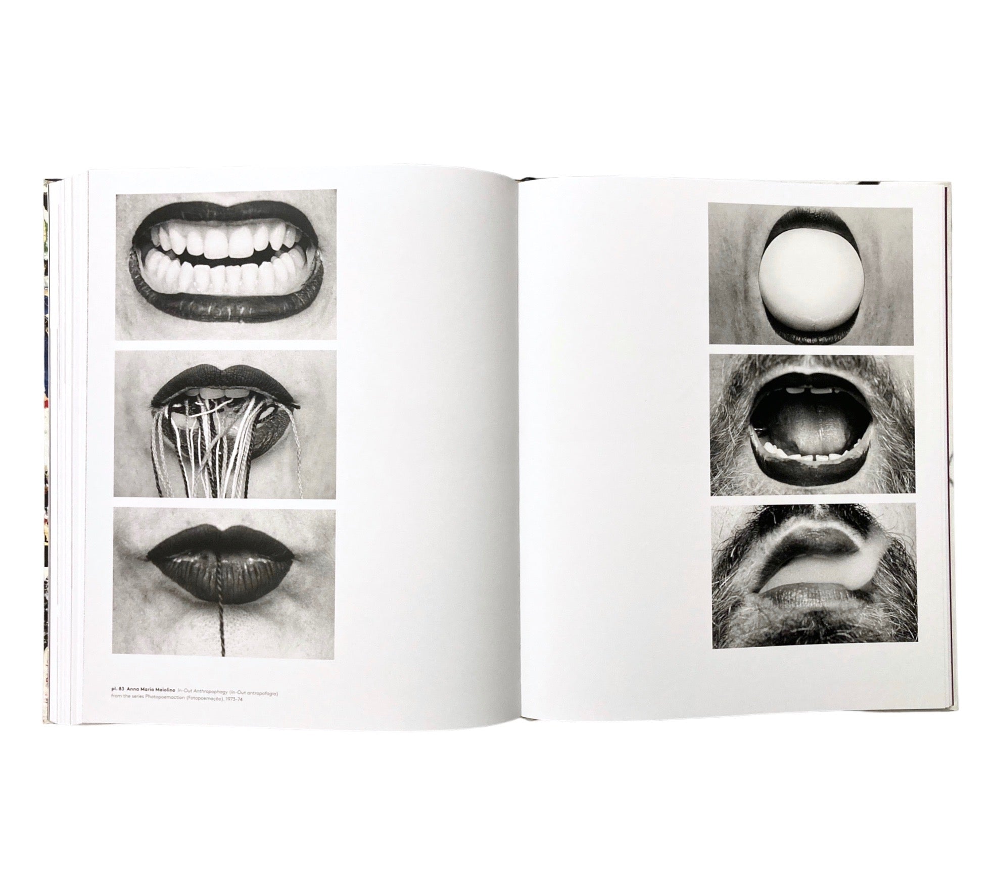 Delirious: Art at the Limits of Reason 1950-1980