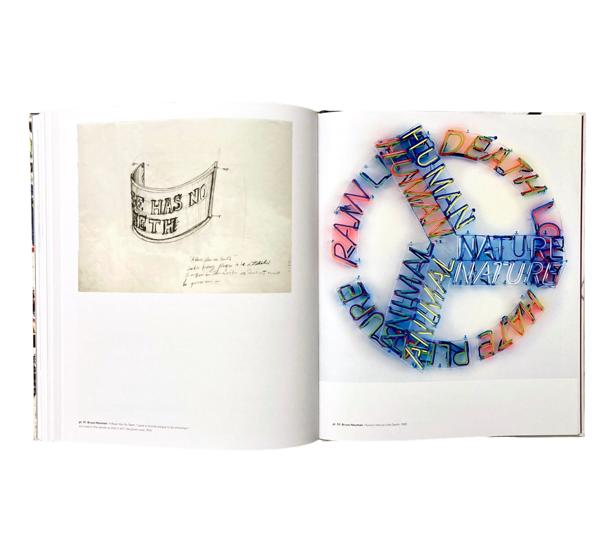 Delirious: Art at the Limits of Reason 1950-1980