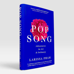 Pop Song: Adventures in Art and Intimacy