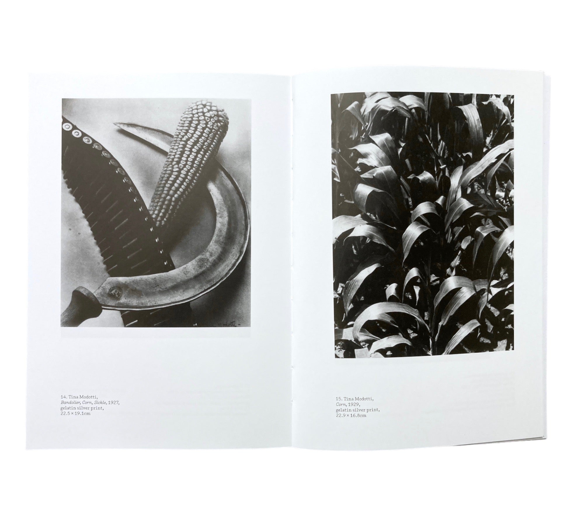 Walker Evans: Kitchen Corner (One Work)