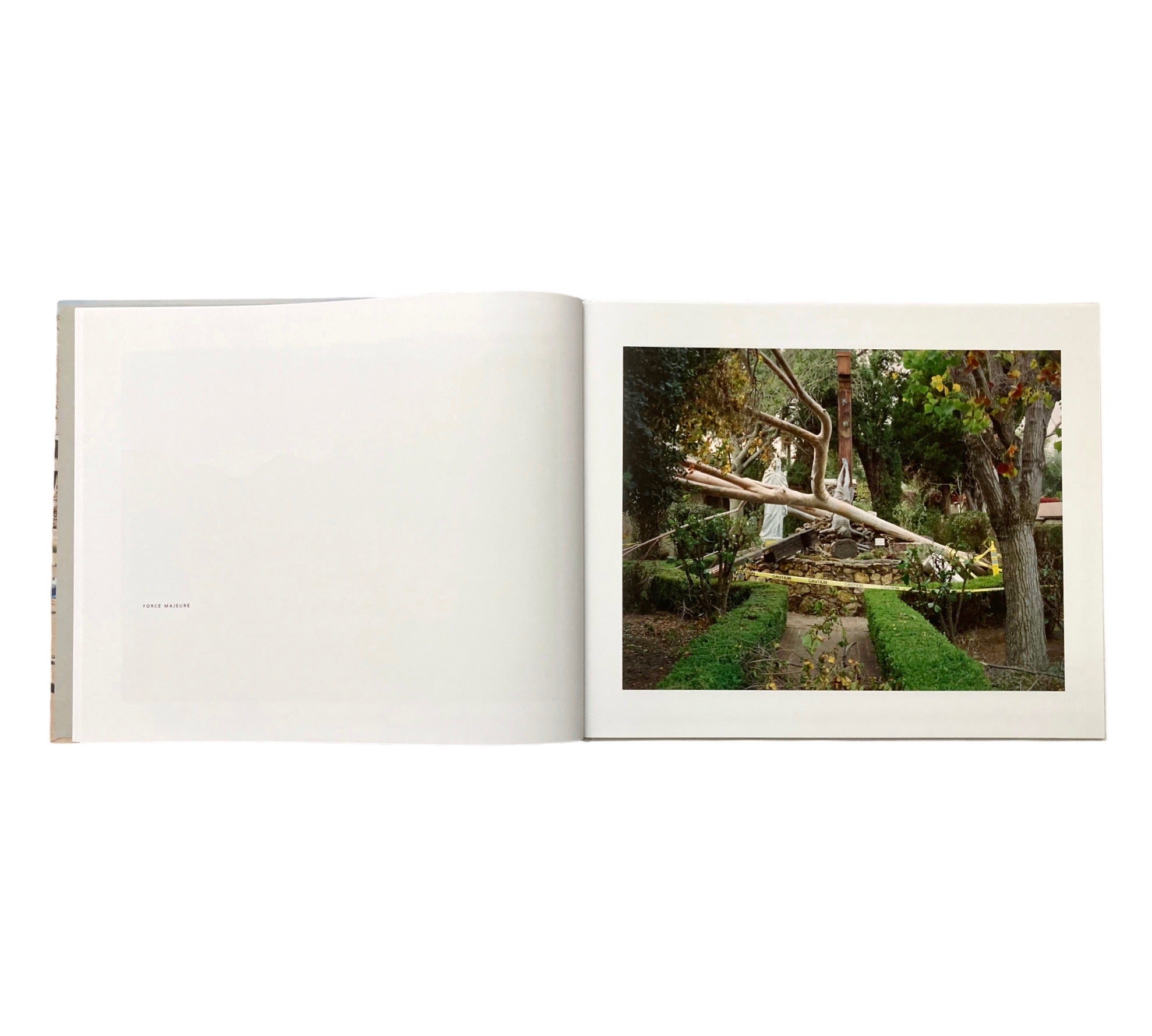 Gianluca Galtrucco: For Your Consideration