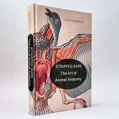 Stripped Bare: The Art of Animal Anatomy