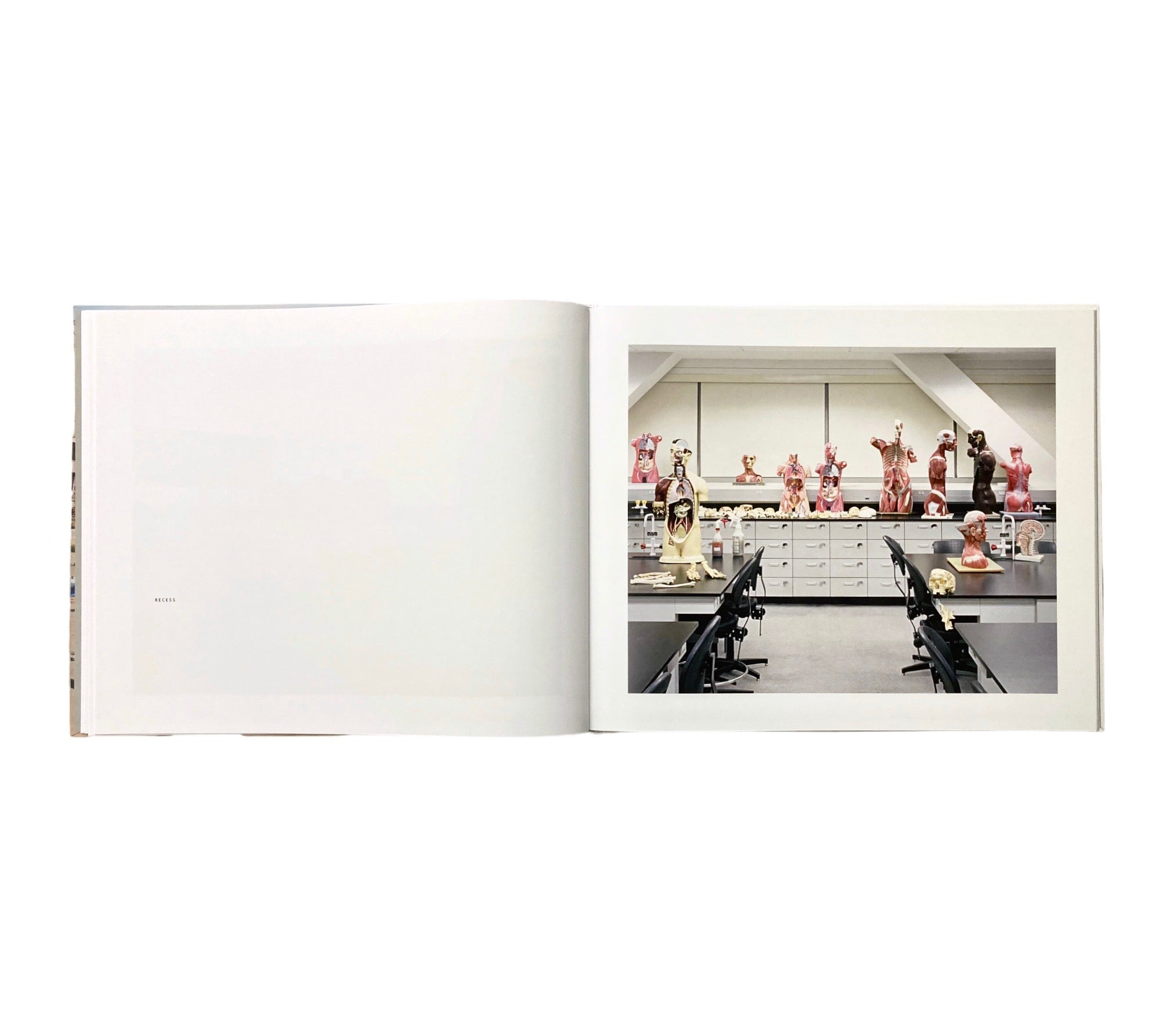 Gianluca Galtrucco: For Your Consideration