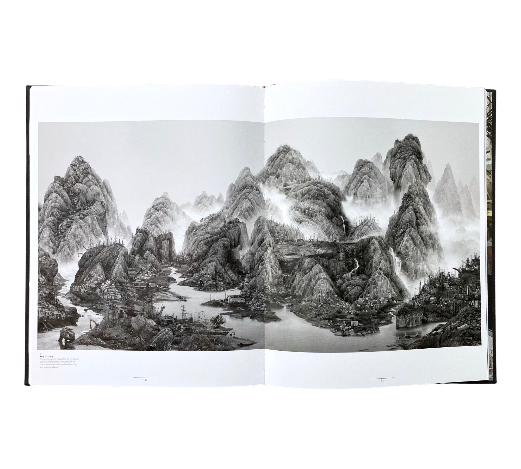 Disorder (Prix Pictet 06)