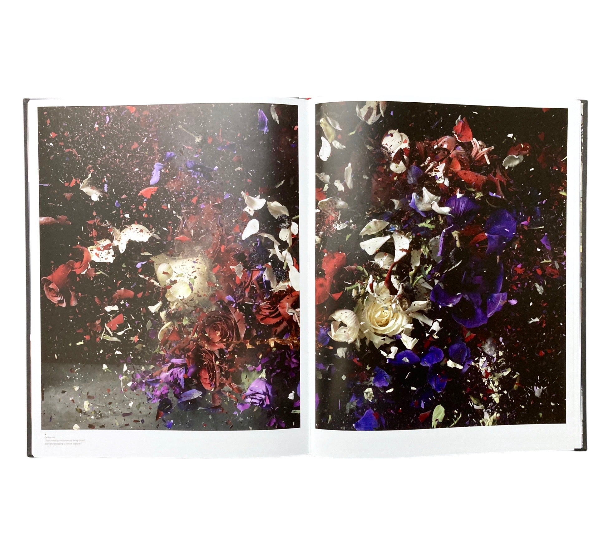 Disorder (Prix Pictet 06)