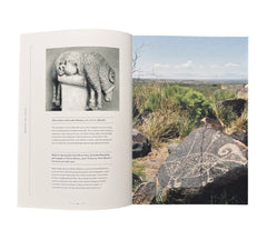 Stripped Bare: The Art of Animal Anatomy