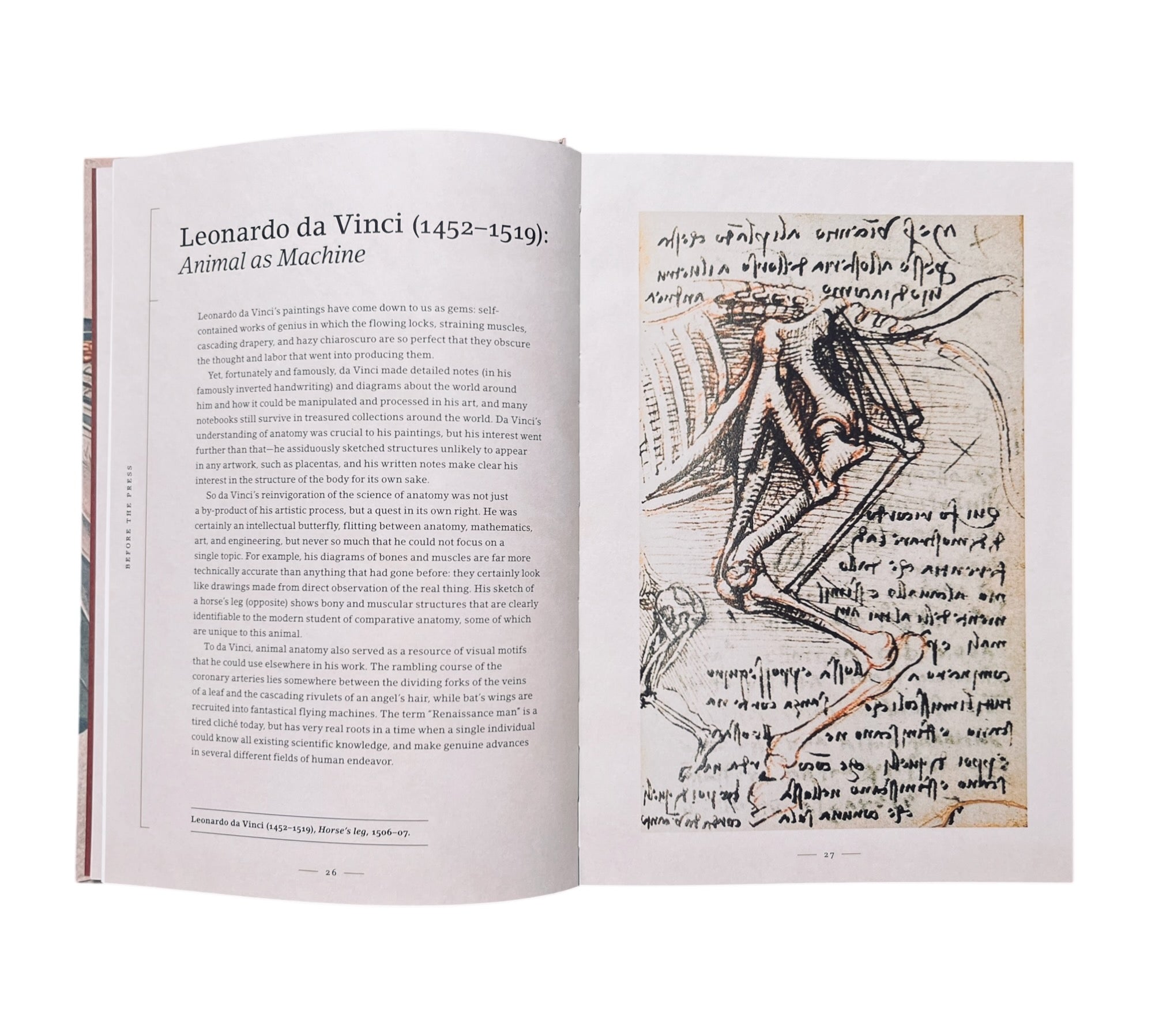 Stripped Bare: The Art of Animal Anatomy