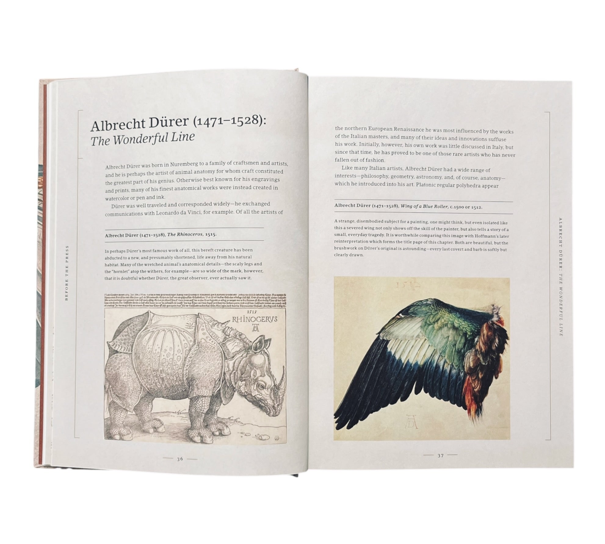 Stripped Bare: The Art of Animal Anatomy