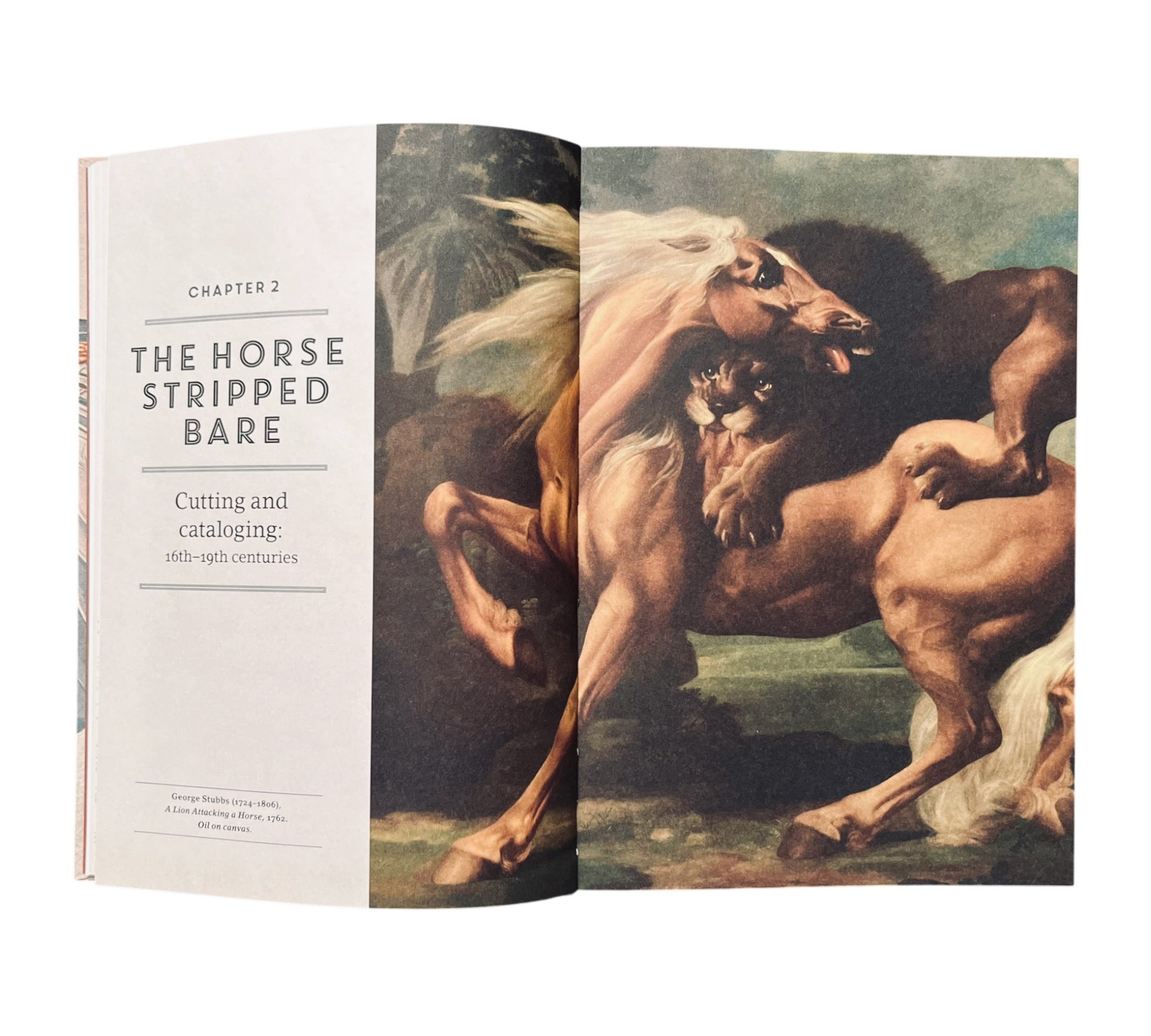 Stripped Bare: The Art of Animal Anatomy