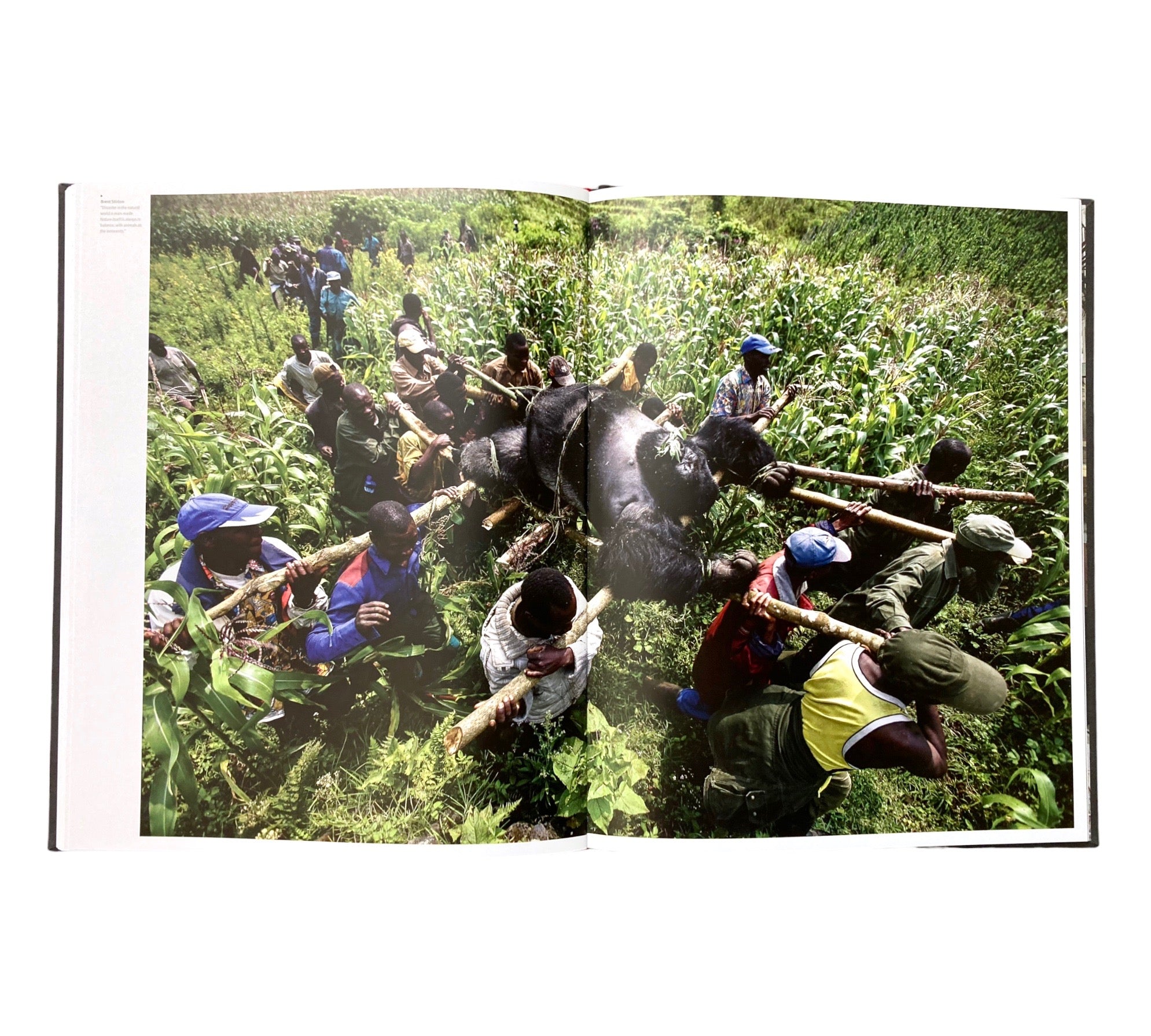 Disorder (Prix Pictet 06)