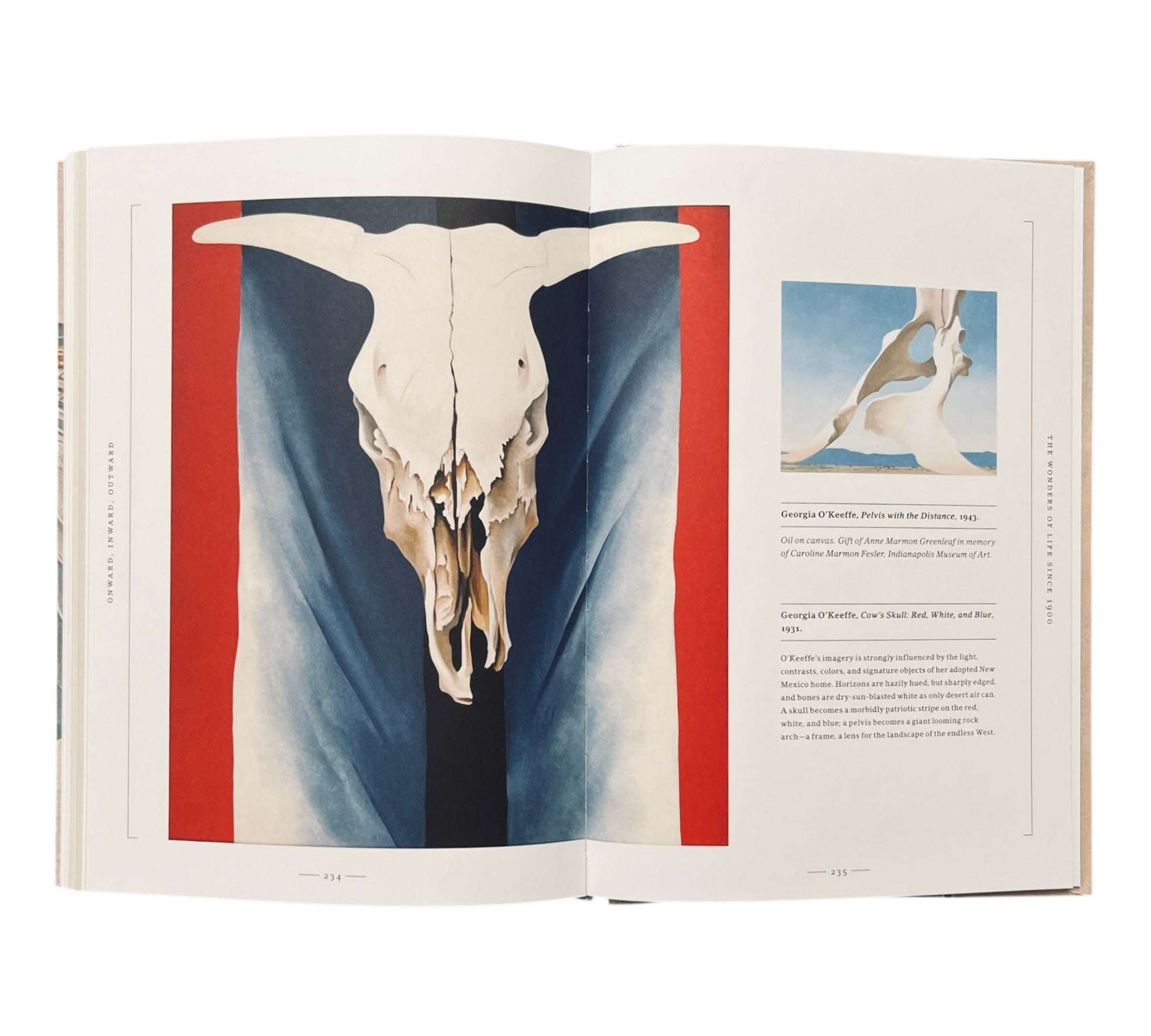 Stripped Bare: The Art of Animal Anatomy