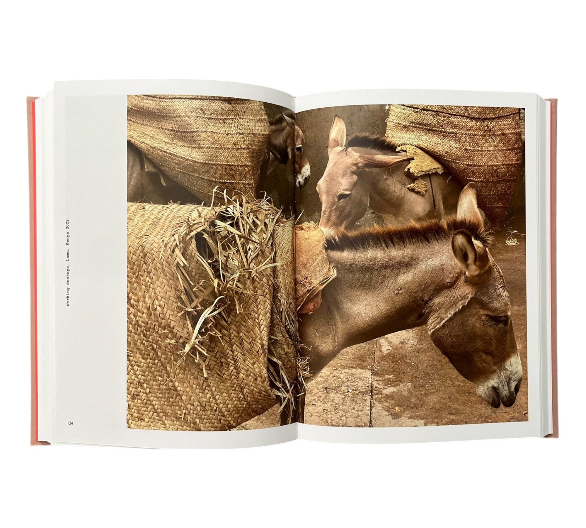 Instanton: Anton Corbijn - phone photos