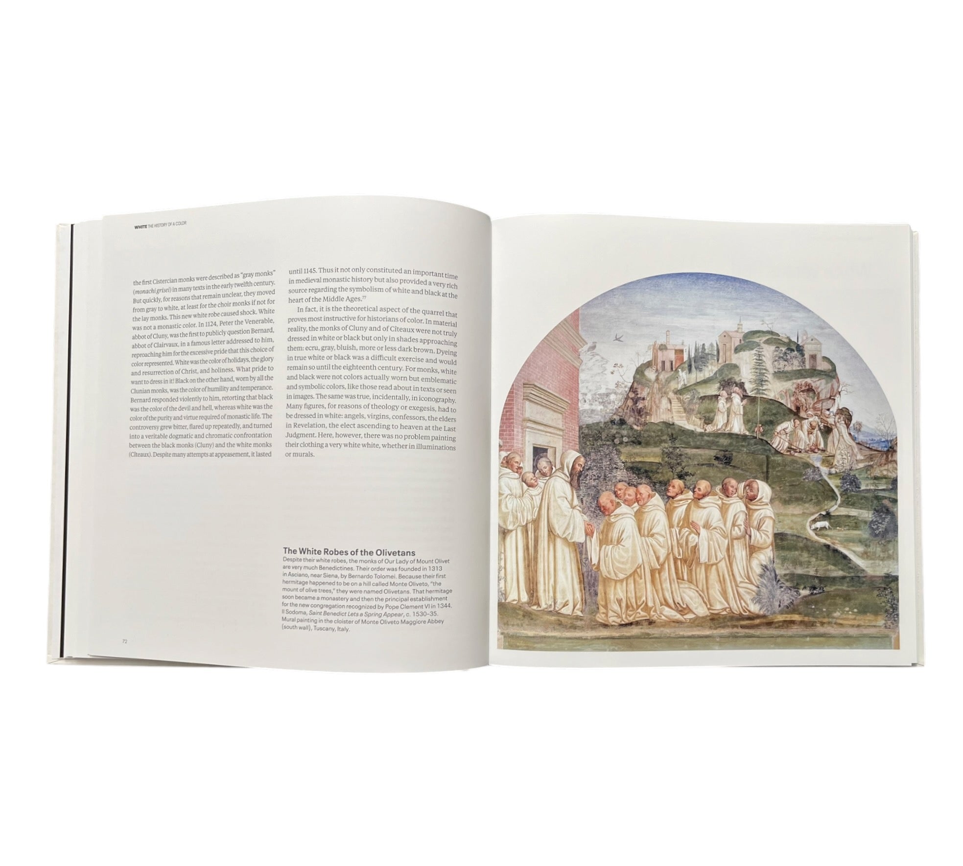 White: The History of a Color