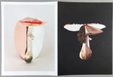 Carsten Höller: Triple Mushrooms - Artist's Portfolio
