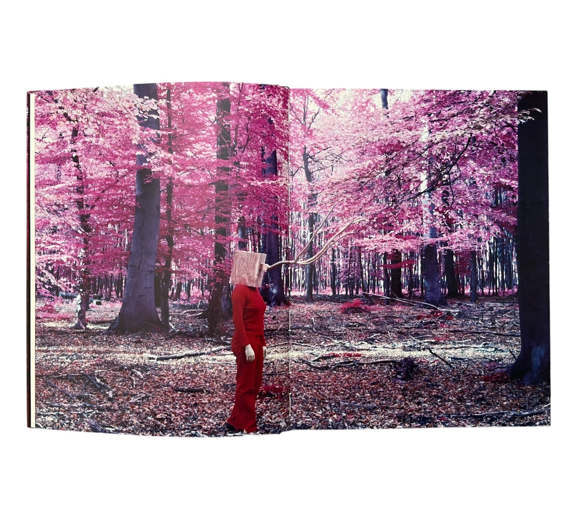 Christoph Loos: Nanna-Paradox (Non-mint)