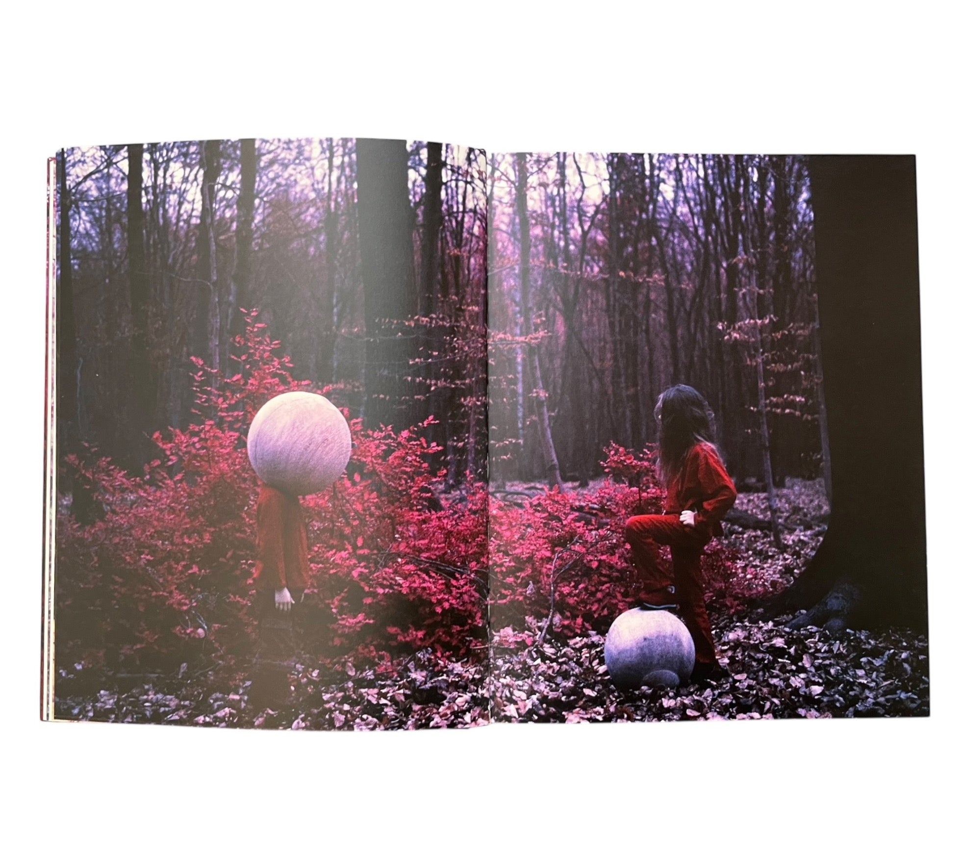 Christoph Loos: Nanna-Paradox (Non-mint)