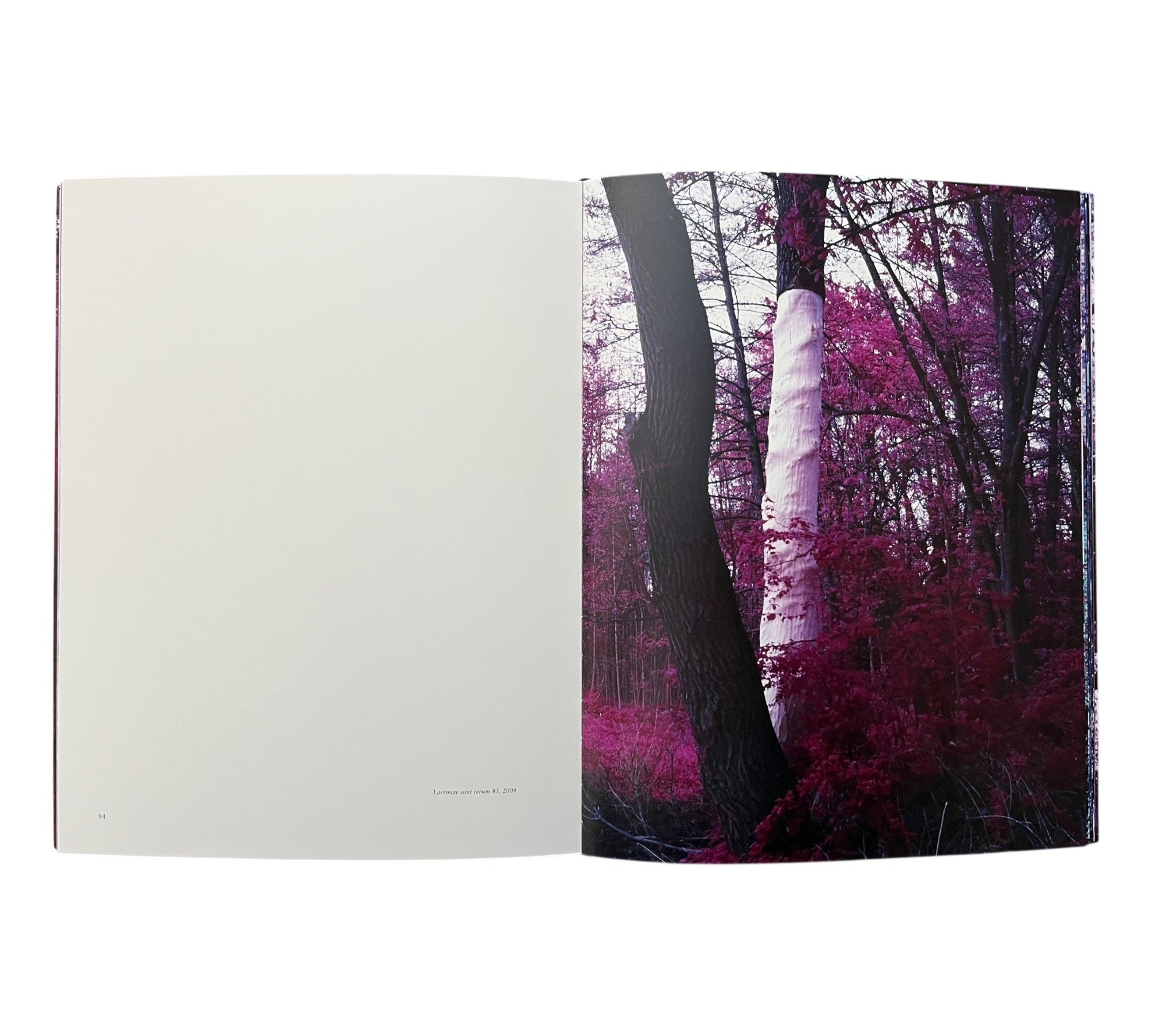 Christoph Loos: Nanna-Paradox (Non-mint)