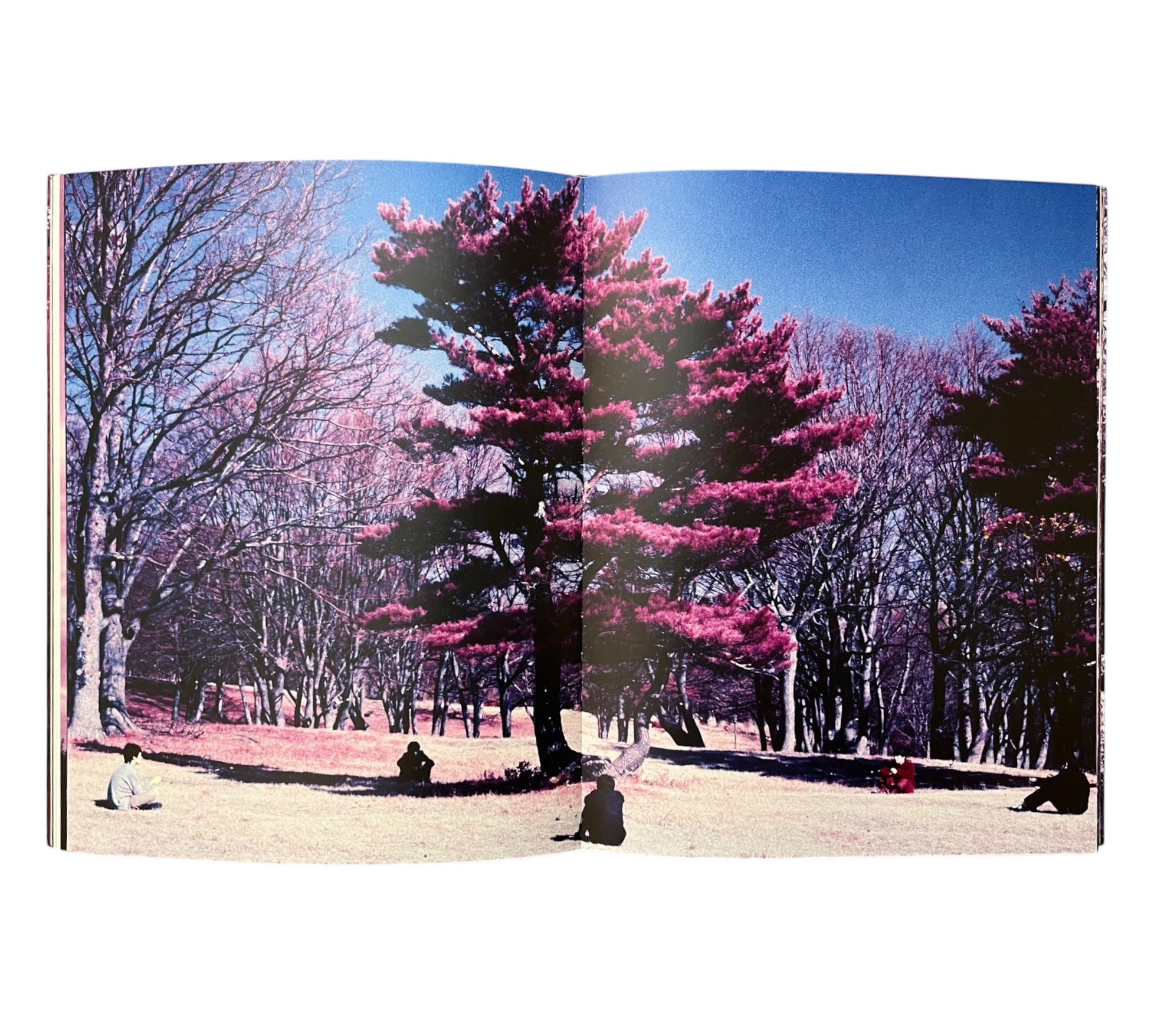 Christoph Loos: Nanna-Paradox (Non-mint)