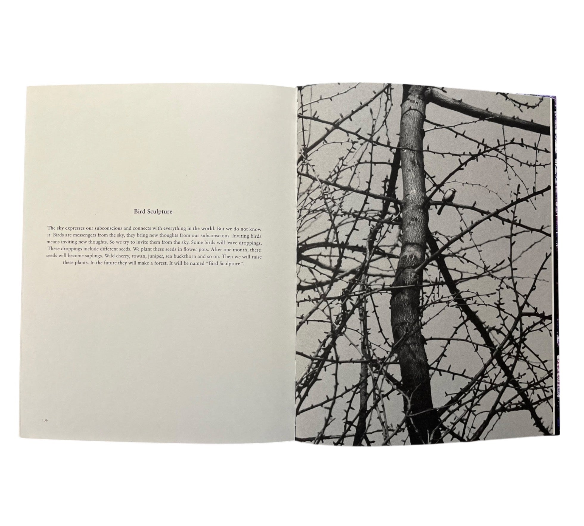 Christoph Loos: Nanna-Paradox (Non-mint)