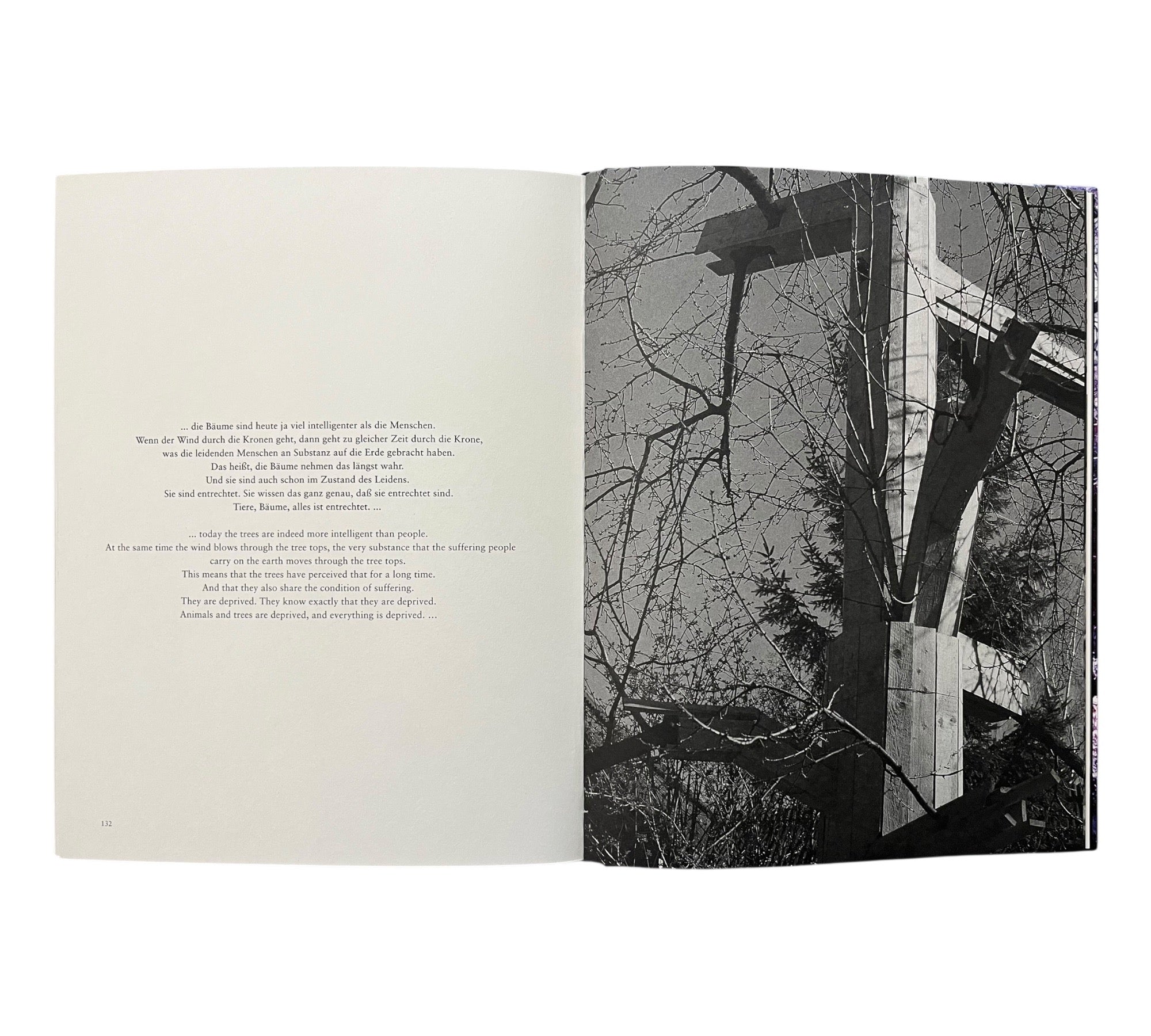 Christoph Loos: Nanna-Paradox (Non-mint)