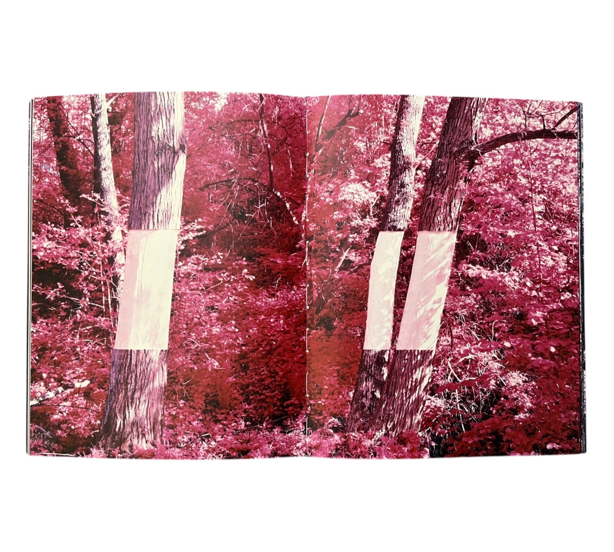 Christoph Loos: Nanna-Paradox (Non-mint)