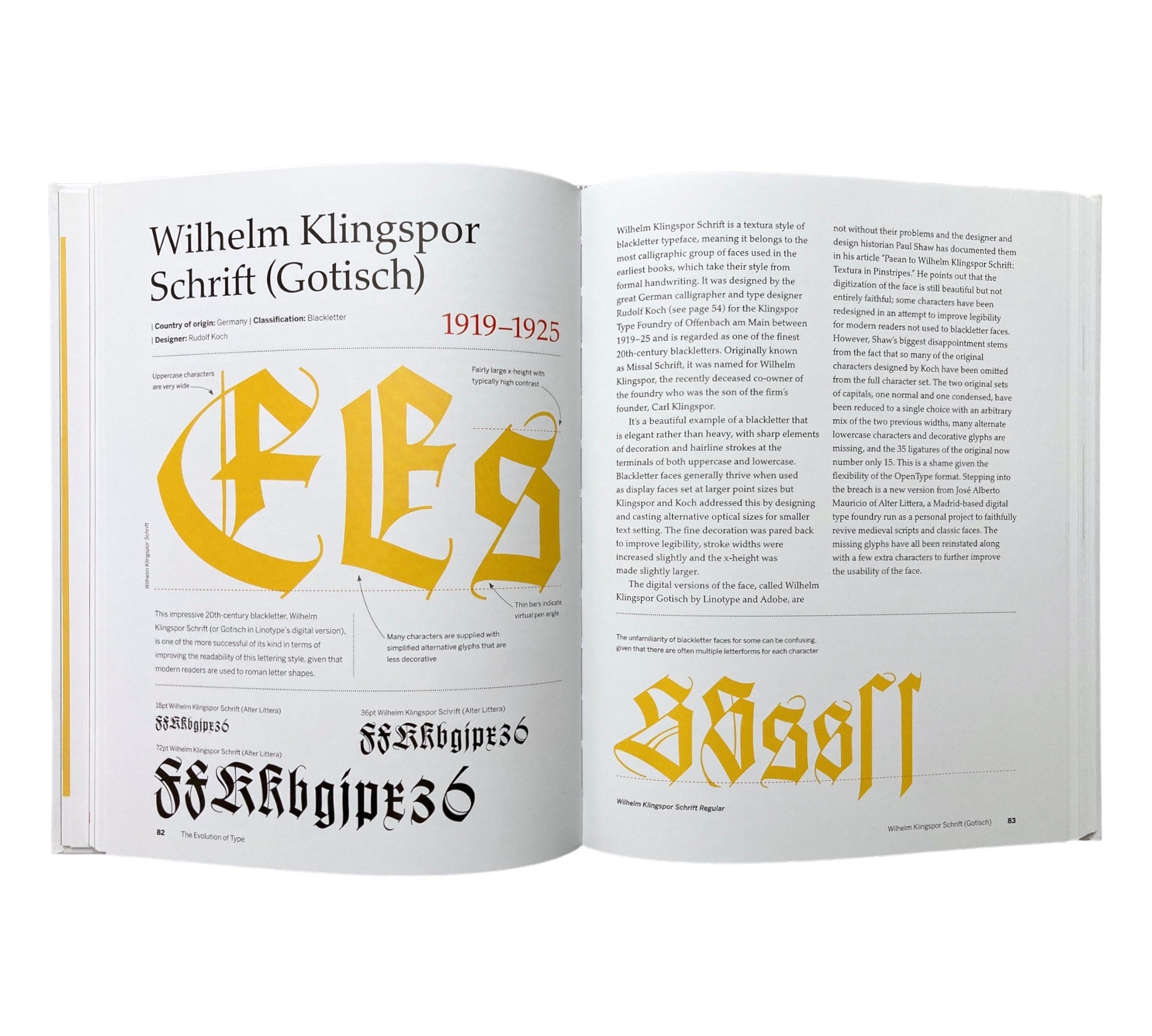 The Evolution of Type: A Graphic Guide to 100 Landmark Typefaces (Rare edition)