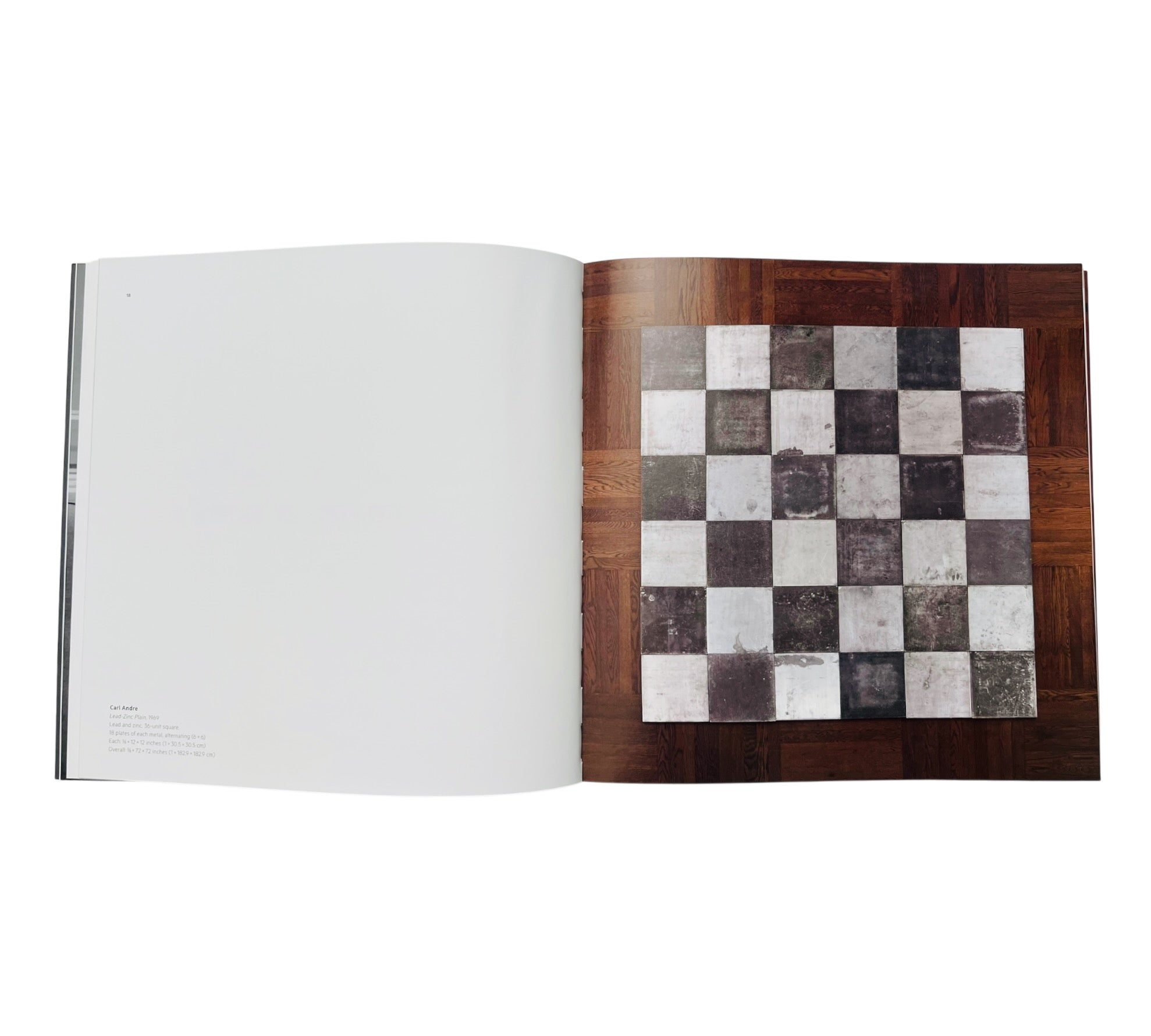 Carl Andre In His Time (Rare edition)