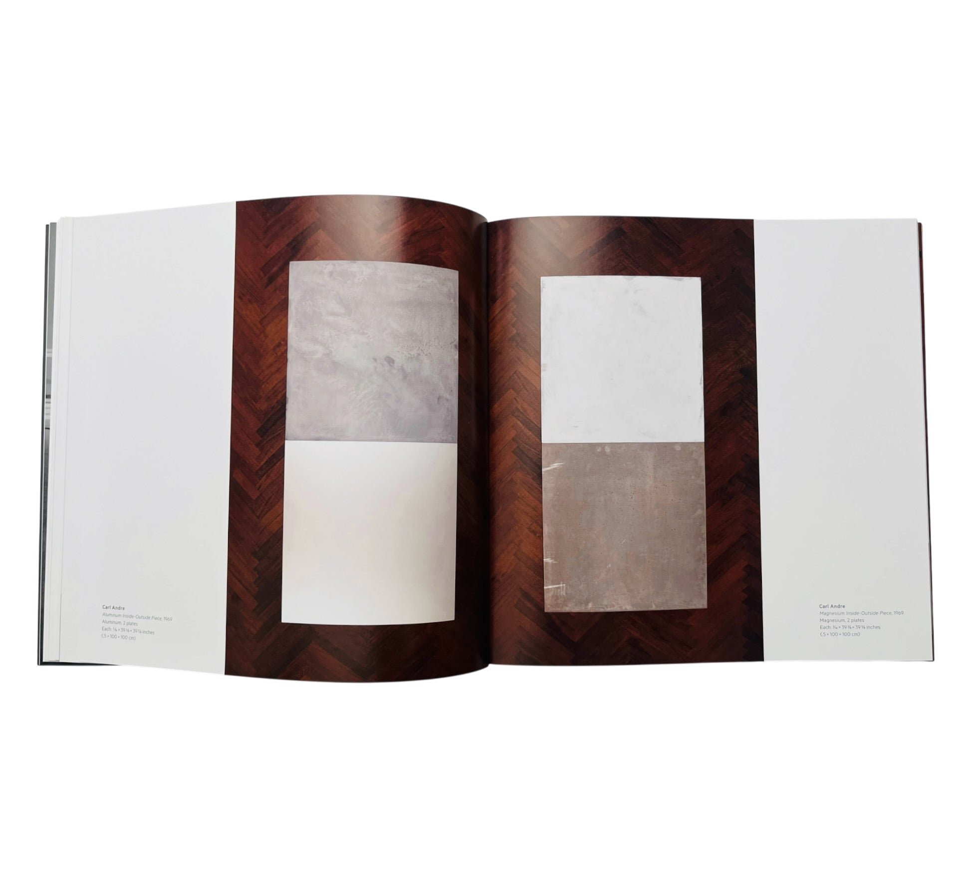 Carl Andre In His Time (Rare edition)