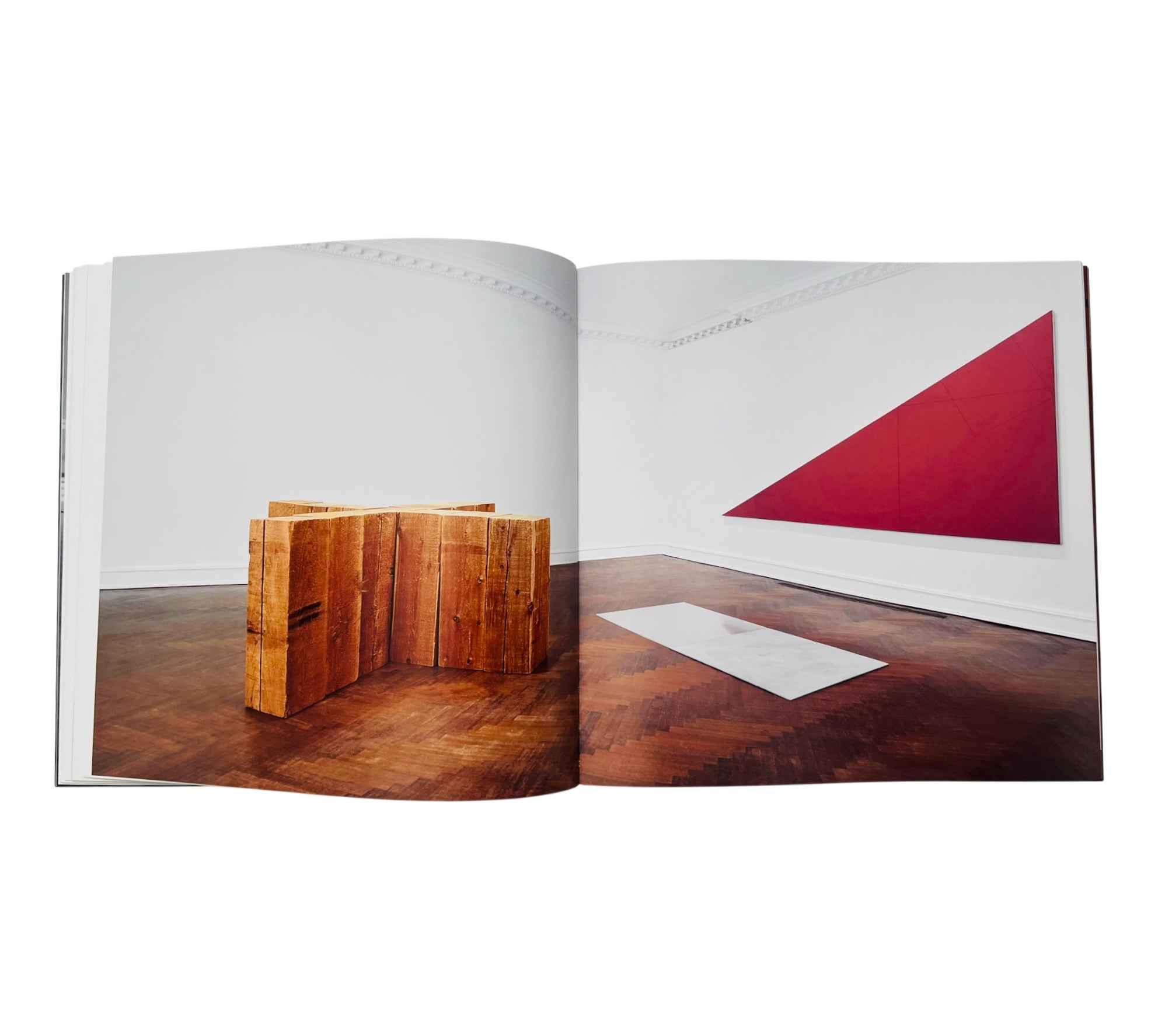 Carl Andre In His Time (Rare edition)