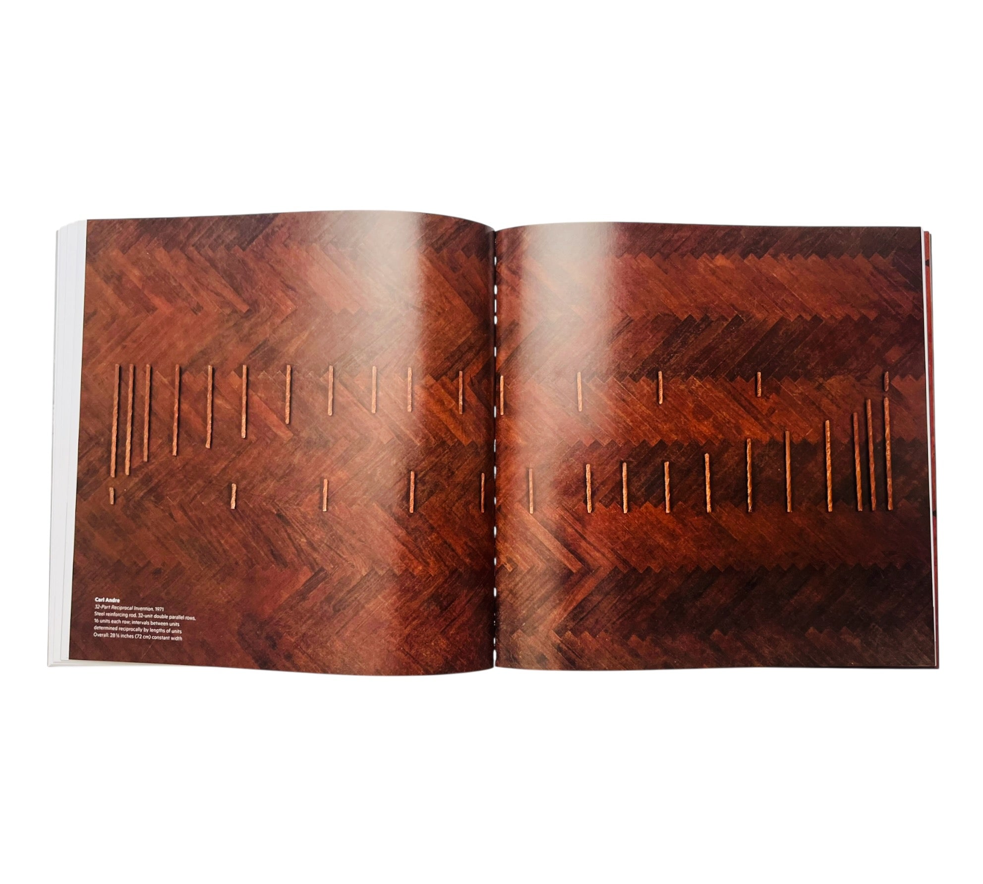 Carl Andre In His Time (Rare edition)