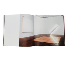 Carl Andre In His Time (Rare edition)