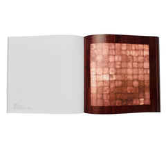 Carl Andre In His Time (Rare edition)