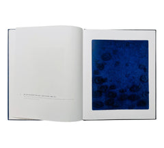Yves Klein: A Career Survey (Rare edition)
