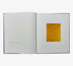 Yves Klein: A Career Survey (Rare edition)