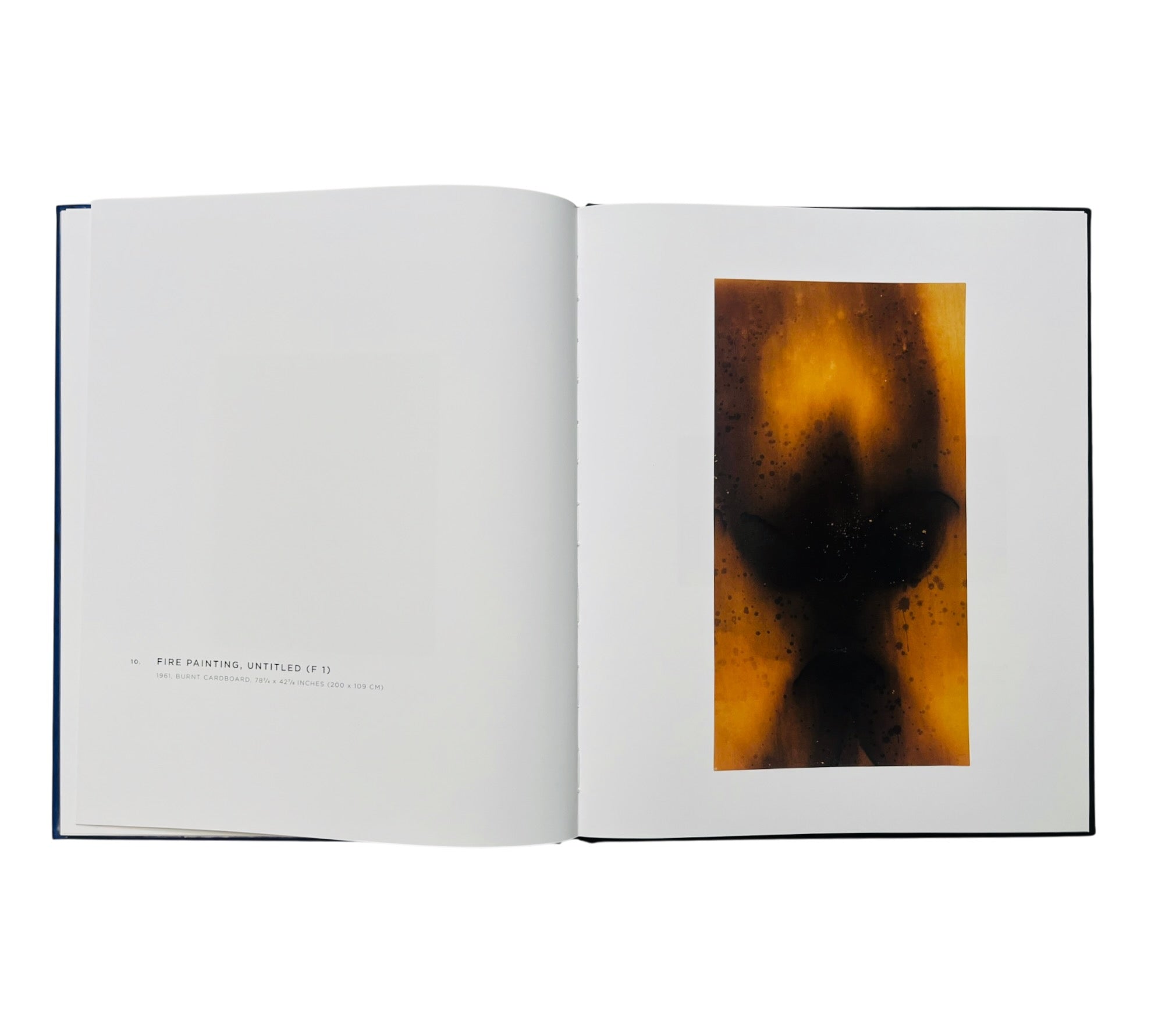 Yves Klein: A Career Survey (Rare edition)