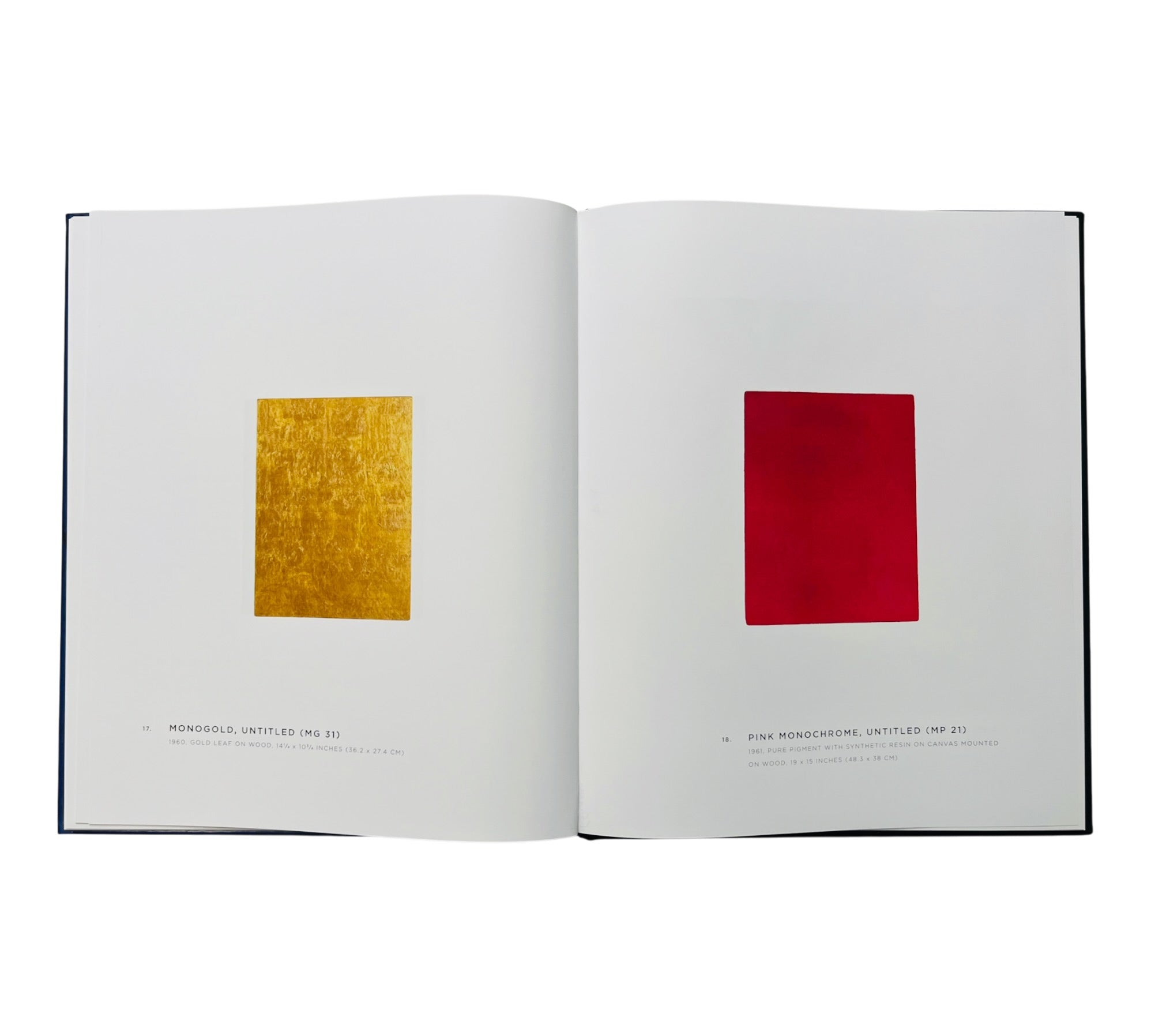 Yves Klein: A Career Survey (Rare edition)