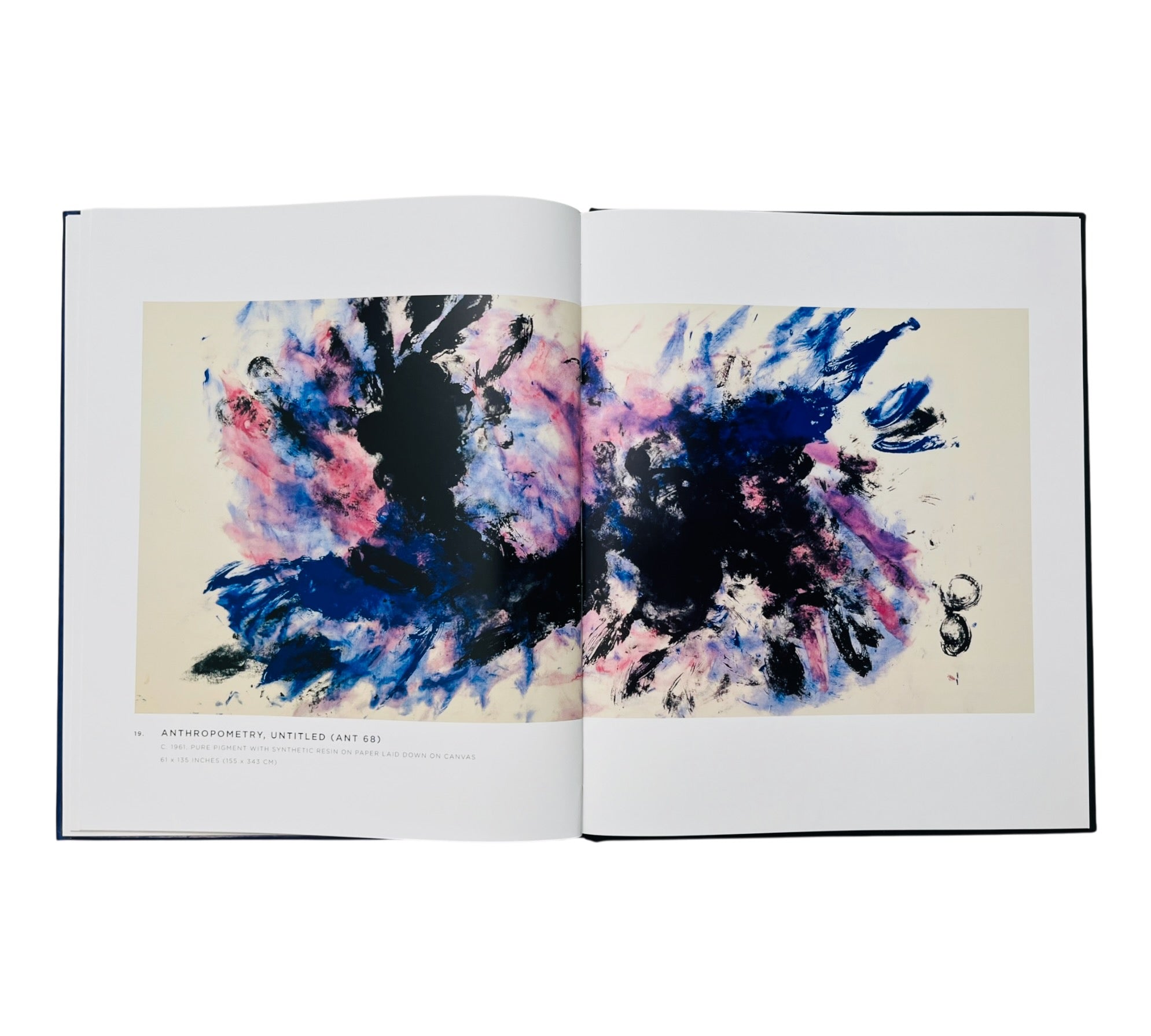 Yves Klein: A Career Survey (Rare edition)