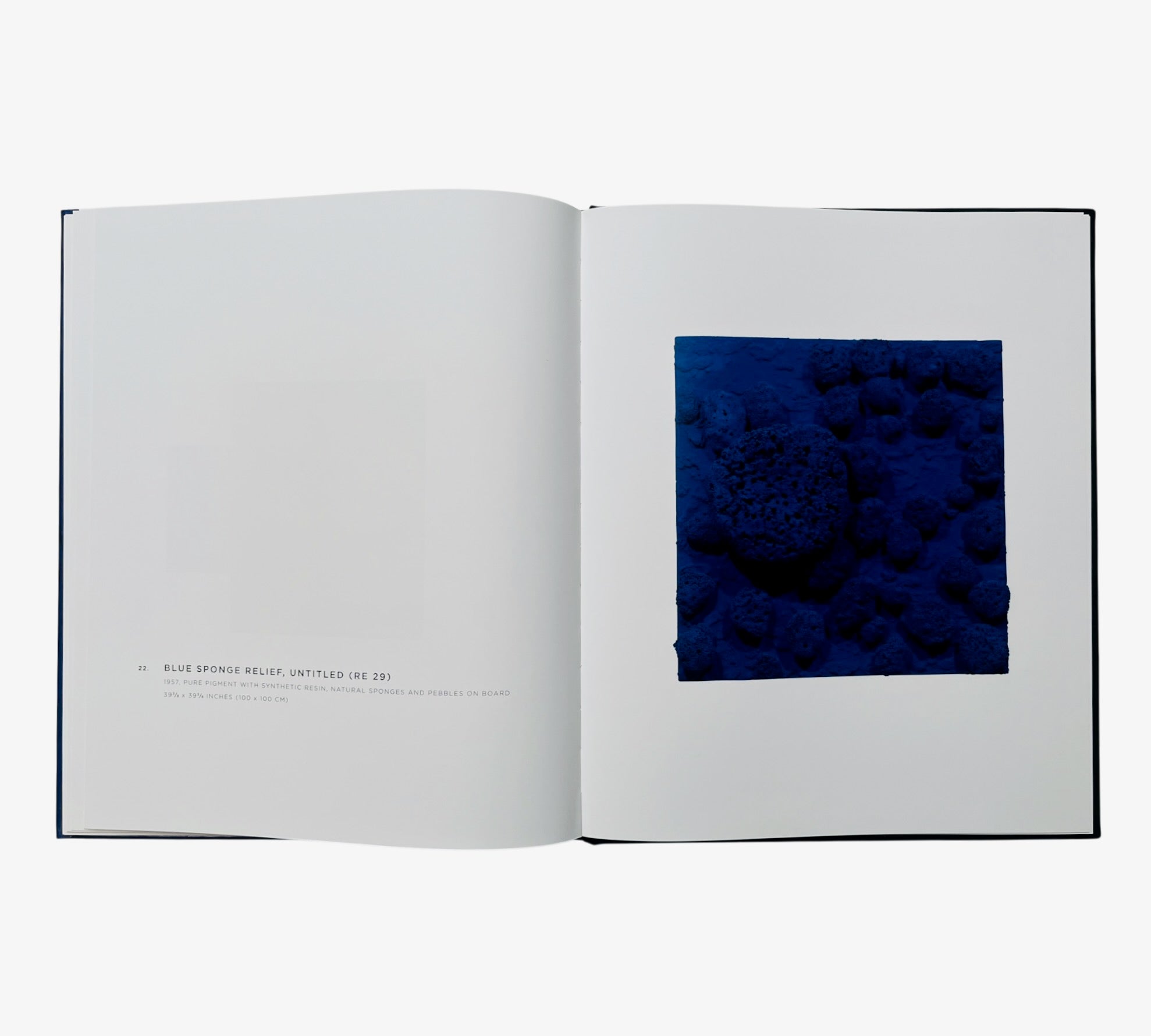 Yves Klein: A Career Survey (Rare edition)