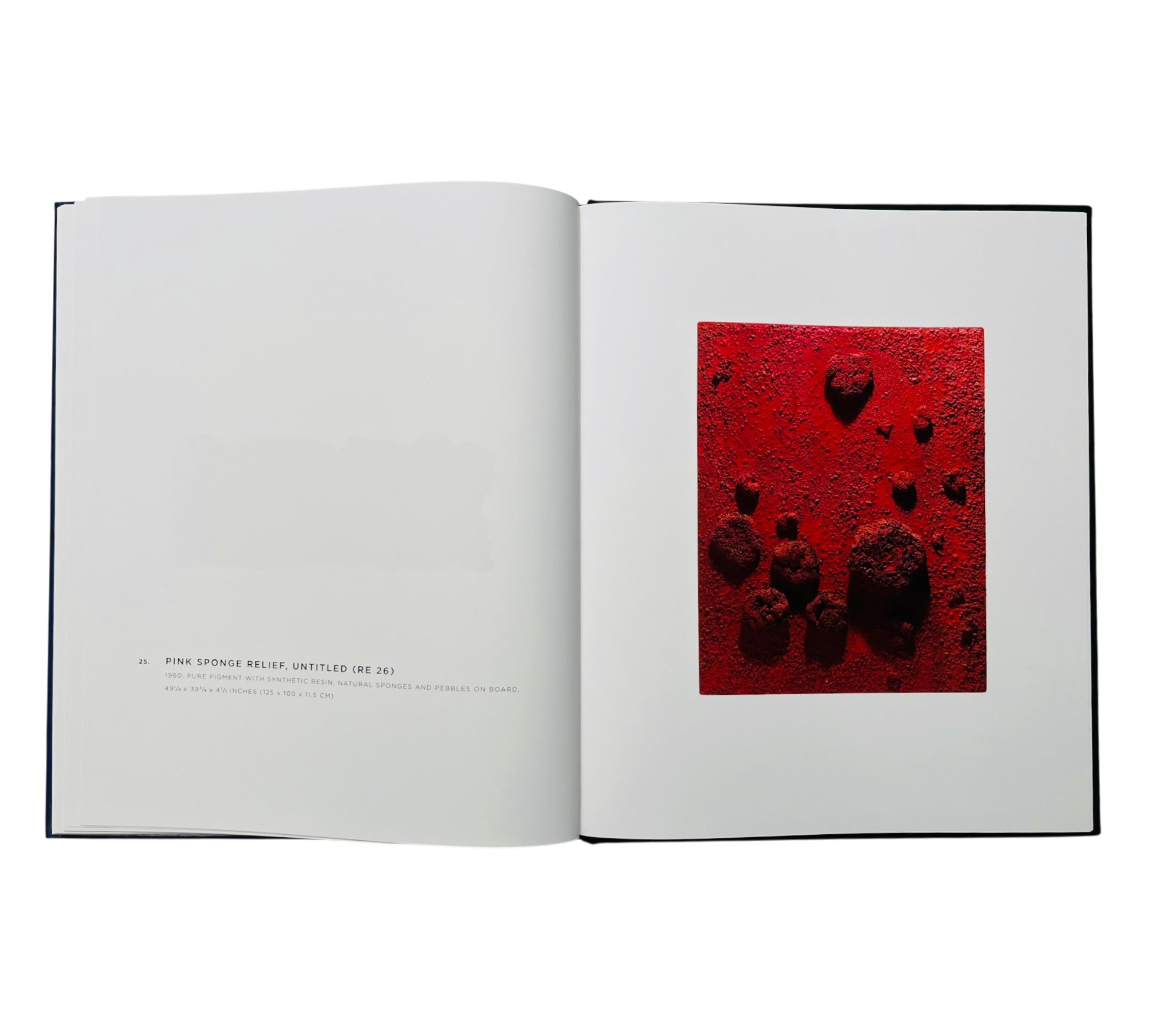 Yves Klein: A Career Survey (Rare edition)