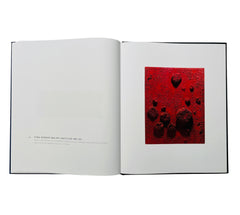 Yves Klein: A Career Survey (Rare edition)