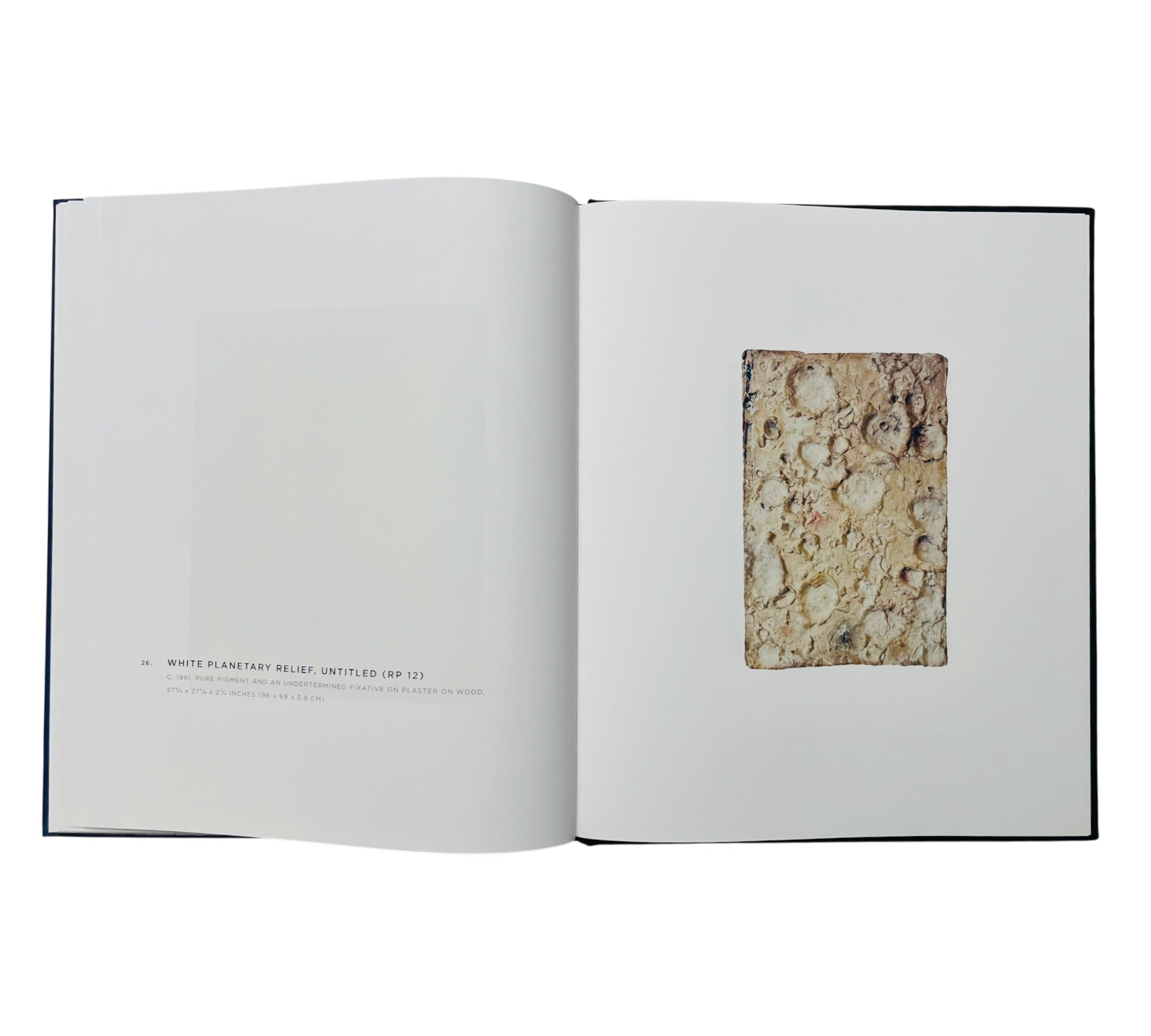 Yves Klein: A Career Survey (Rare edition)