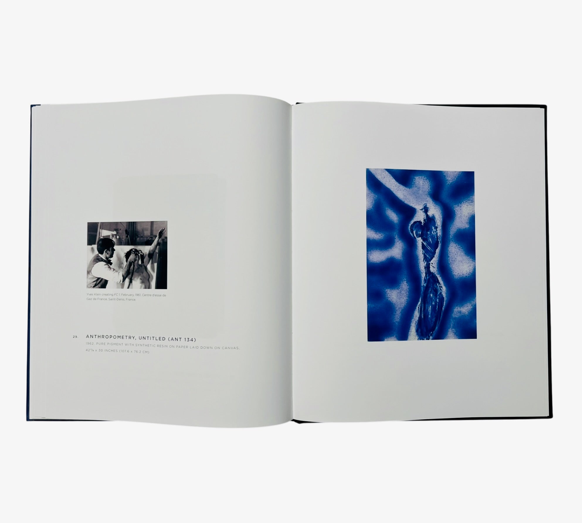 Yves Klein: A Career Survey (Rare edition)