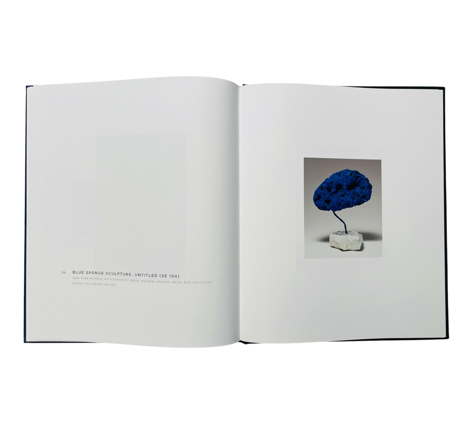 Yves Klein: A Career Survey (Rare edition)