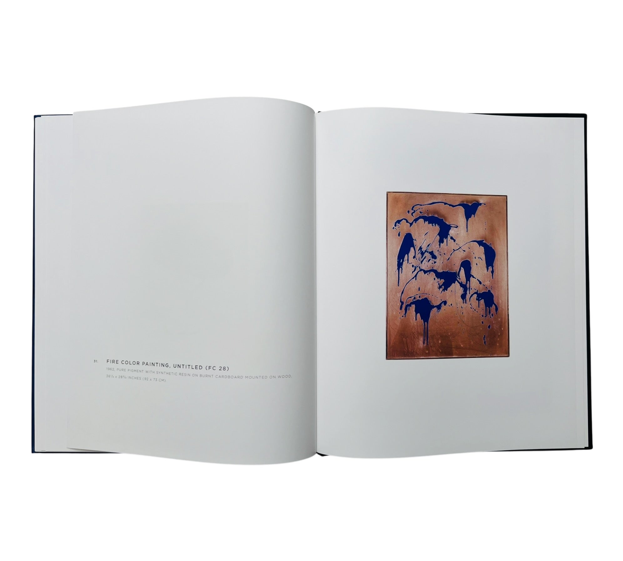 Yves Klein: A Career Survey (Rare edition)