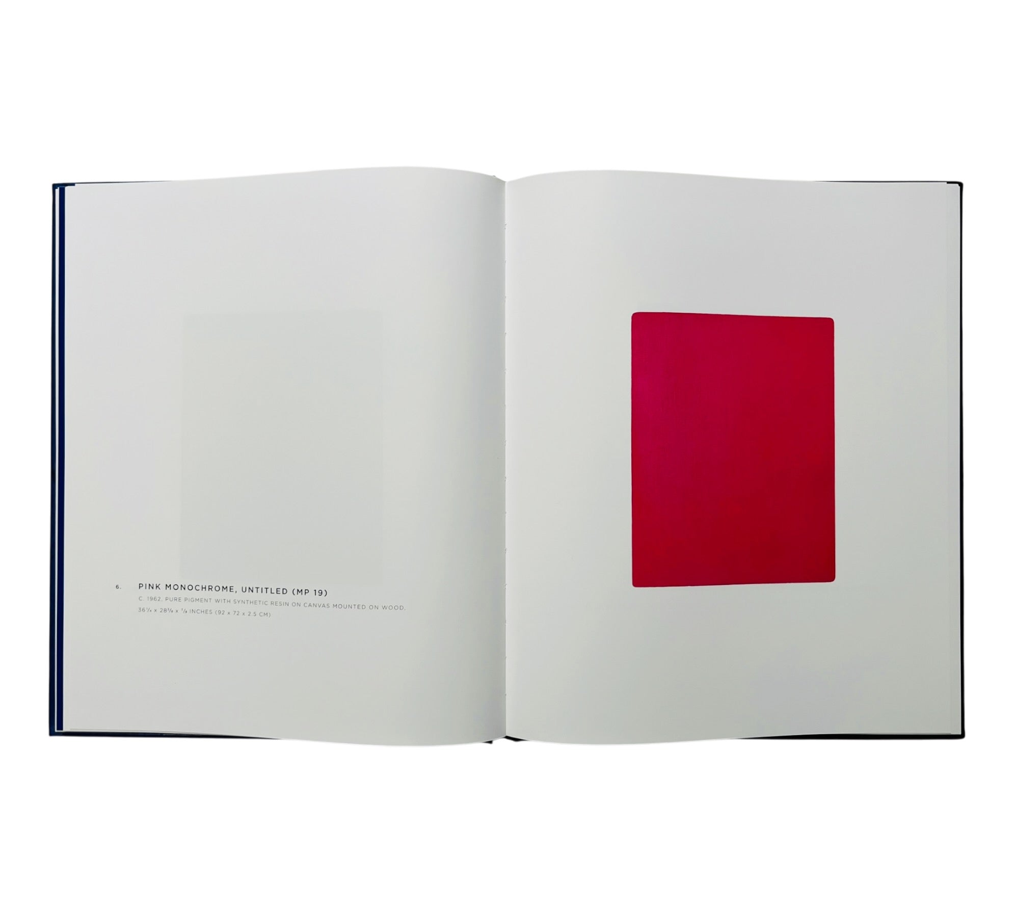 Yves Klein: A Career Survey (Rare edition)