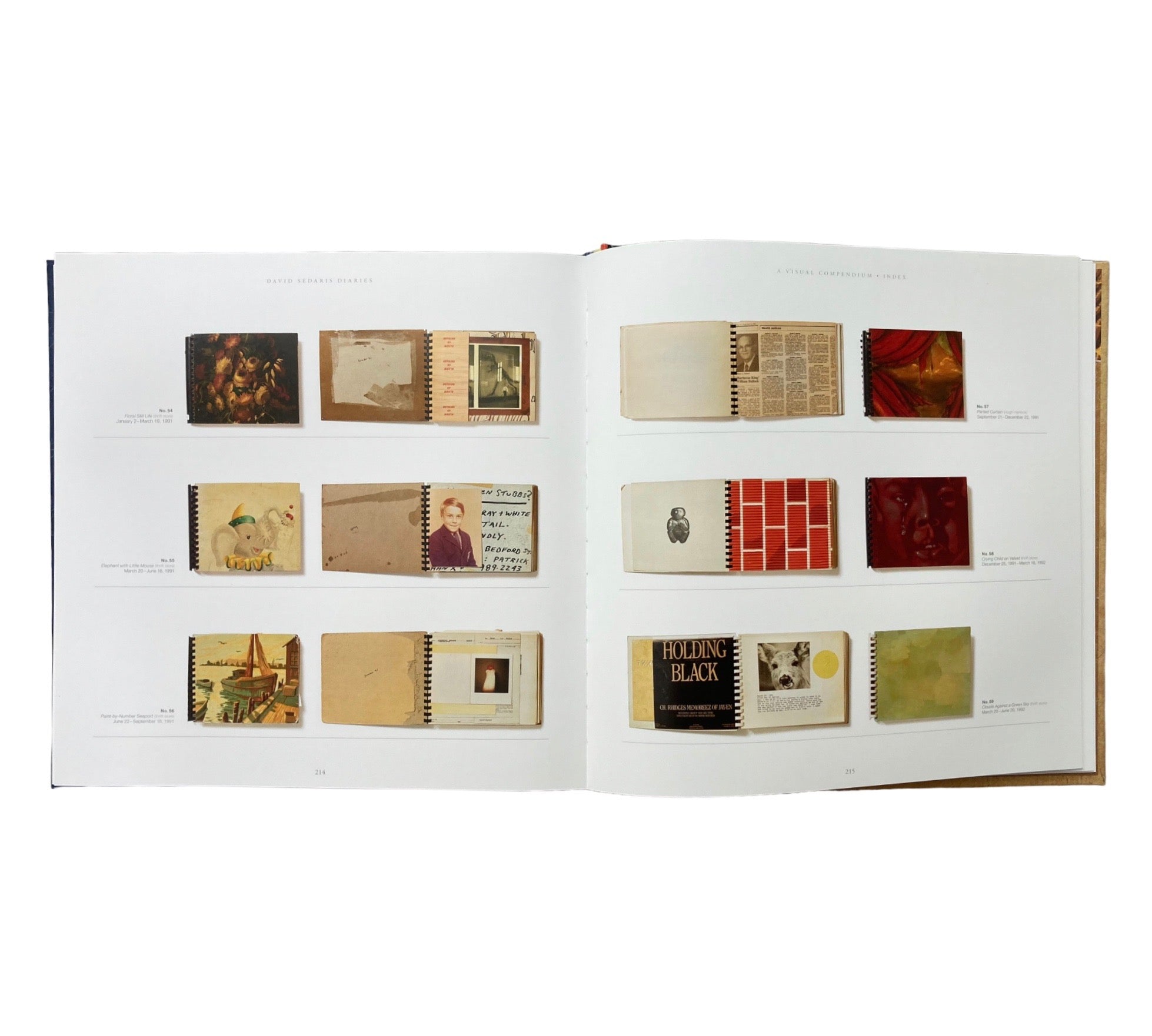 David Sedaris: Diaries - A Visual Compendium
