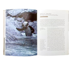 Peter Fischli, David Weiss